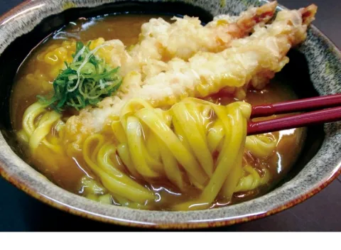 Kyoto Curry Udon mimikou