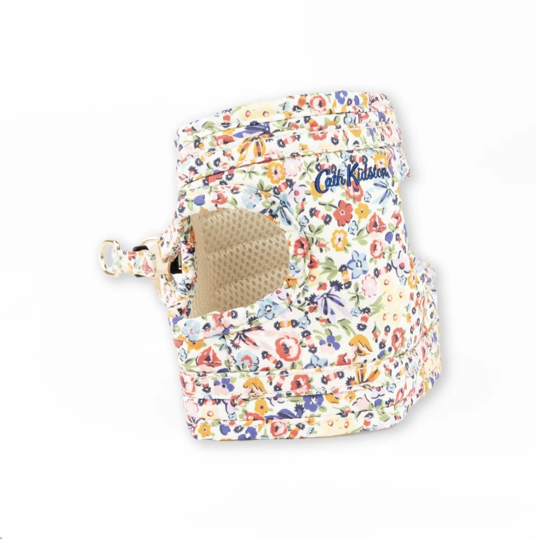 愛犬の可愛さを演出する高機能な散歩グッズ🦮