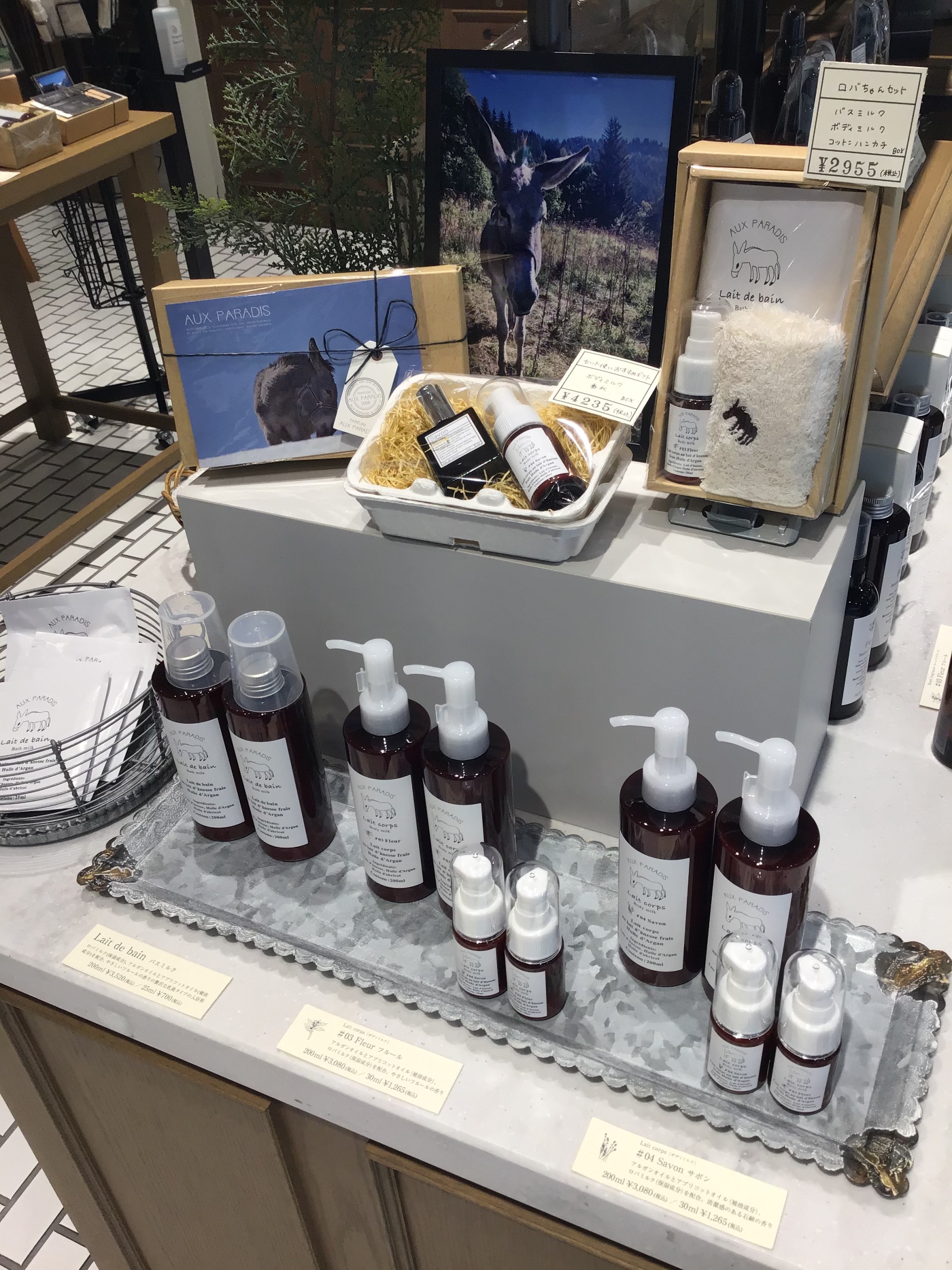 【可愛いだけじゃない！保湿効果バツグン🌷】ロバミルクコーナー