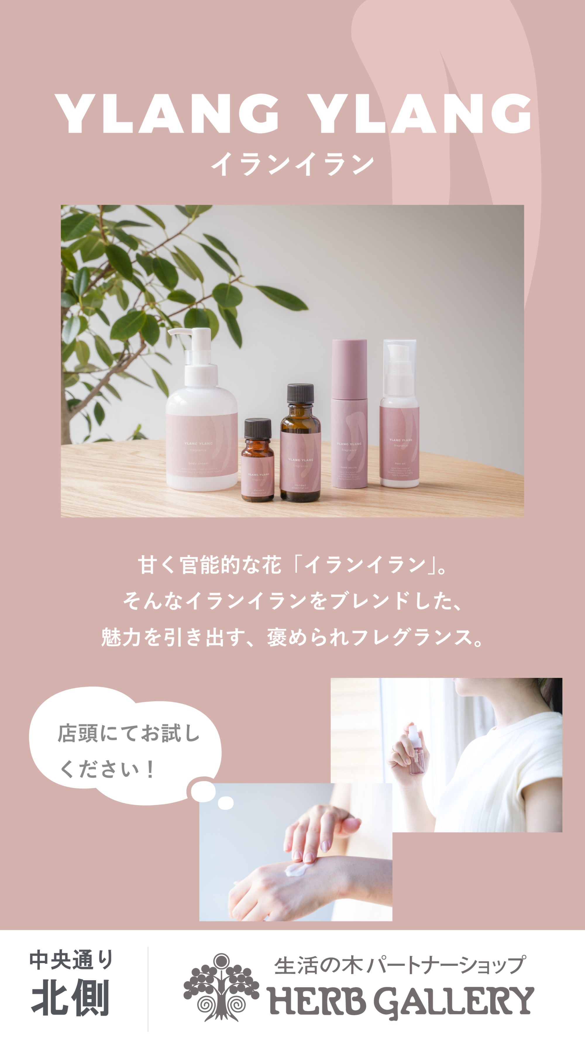 生活の木 イランイランシリーズのご紹介
