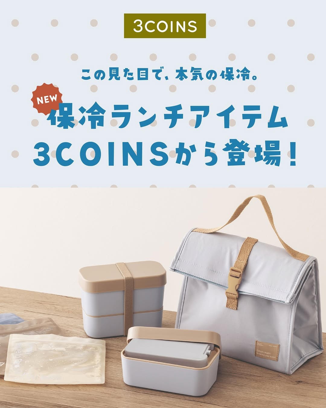 夏のお弁当に!保冷ランチアイテム