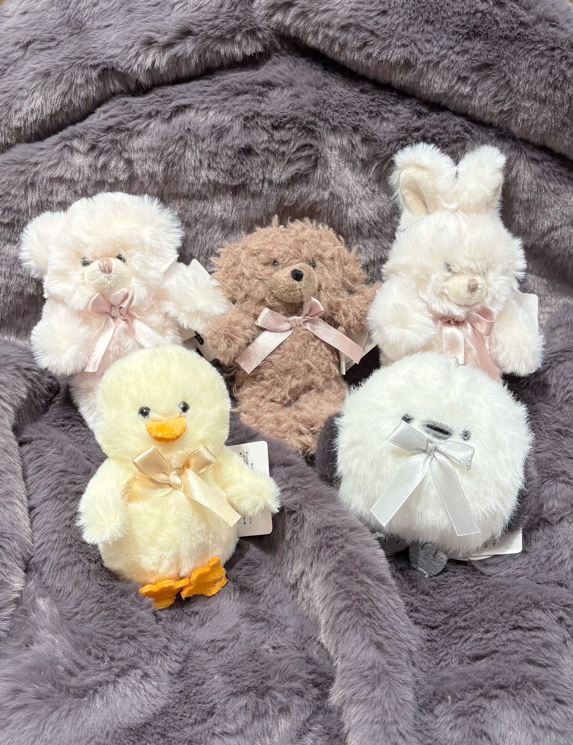 〘もふもふかわいい〙アニマルチャーム