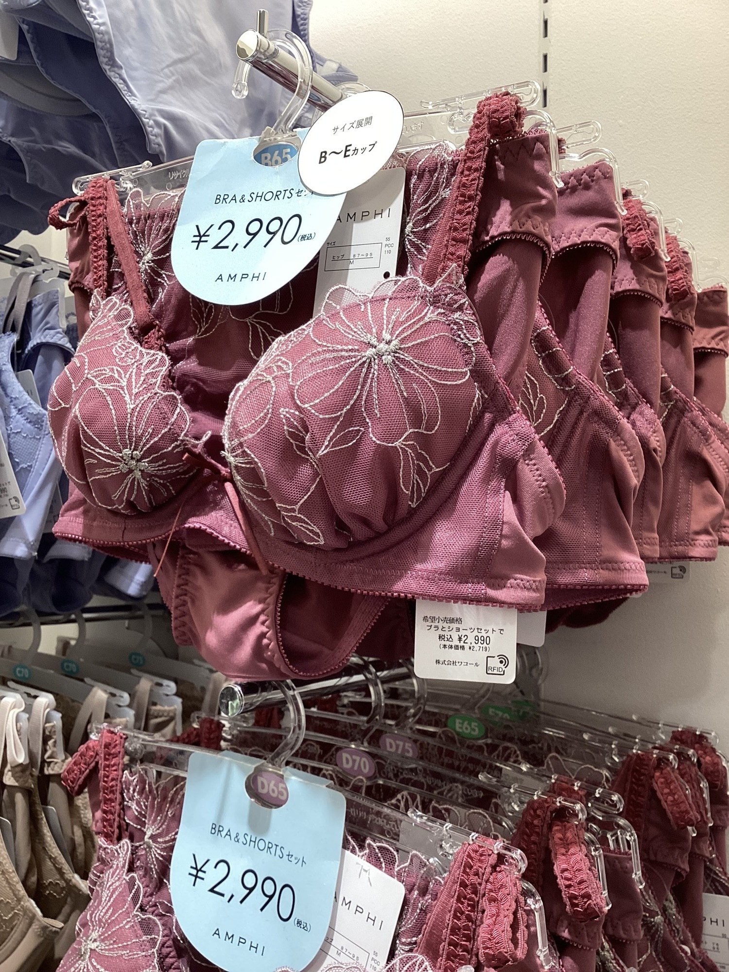 《AMPHI》セット価格