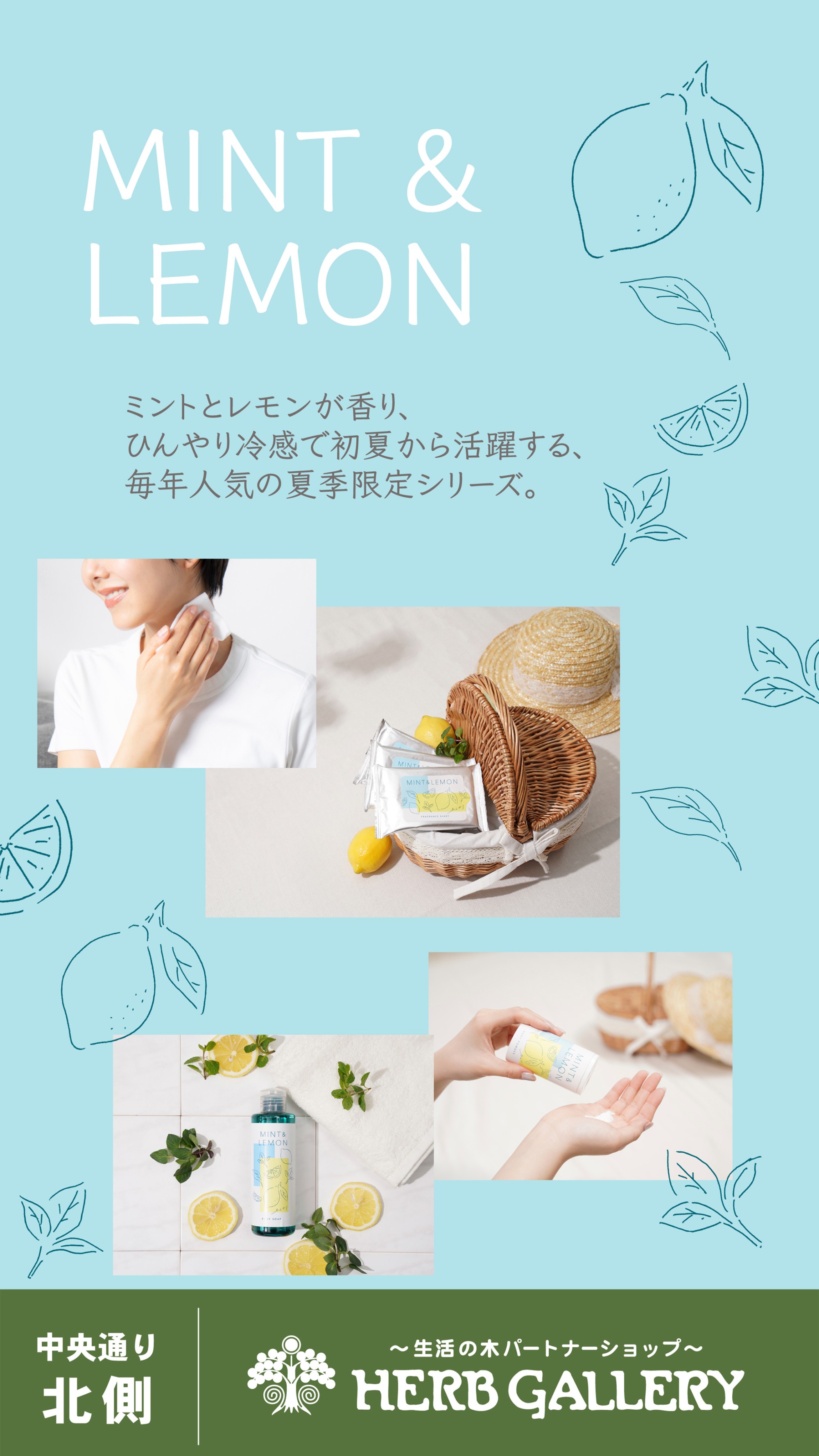 生活の木季節限定　ミント＆レモンシリーズのご紹介