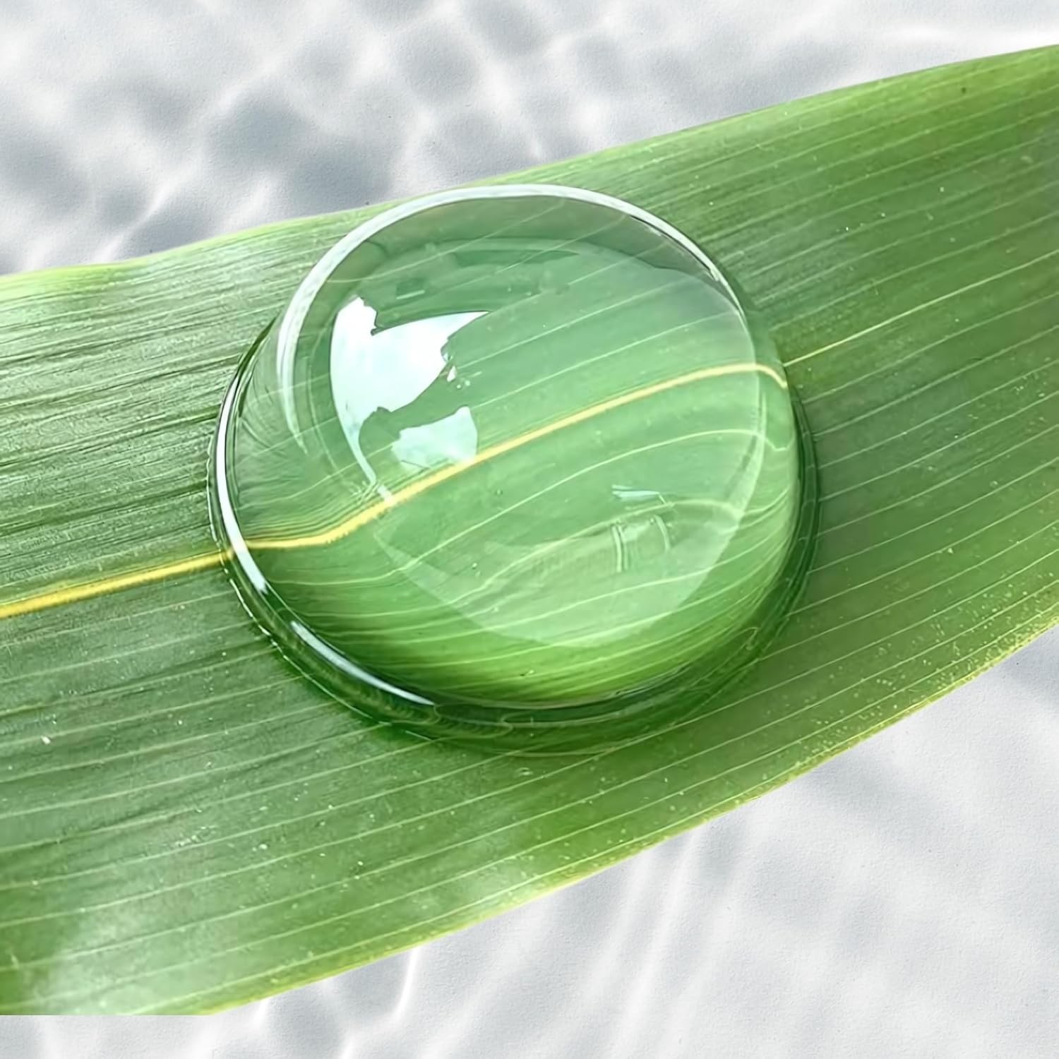 水わらびもち
