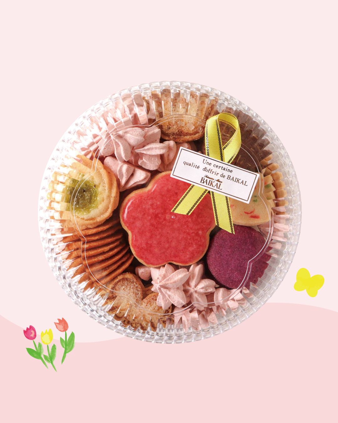 【期間限定】ピチニエ