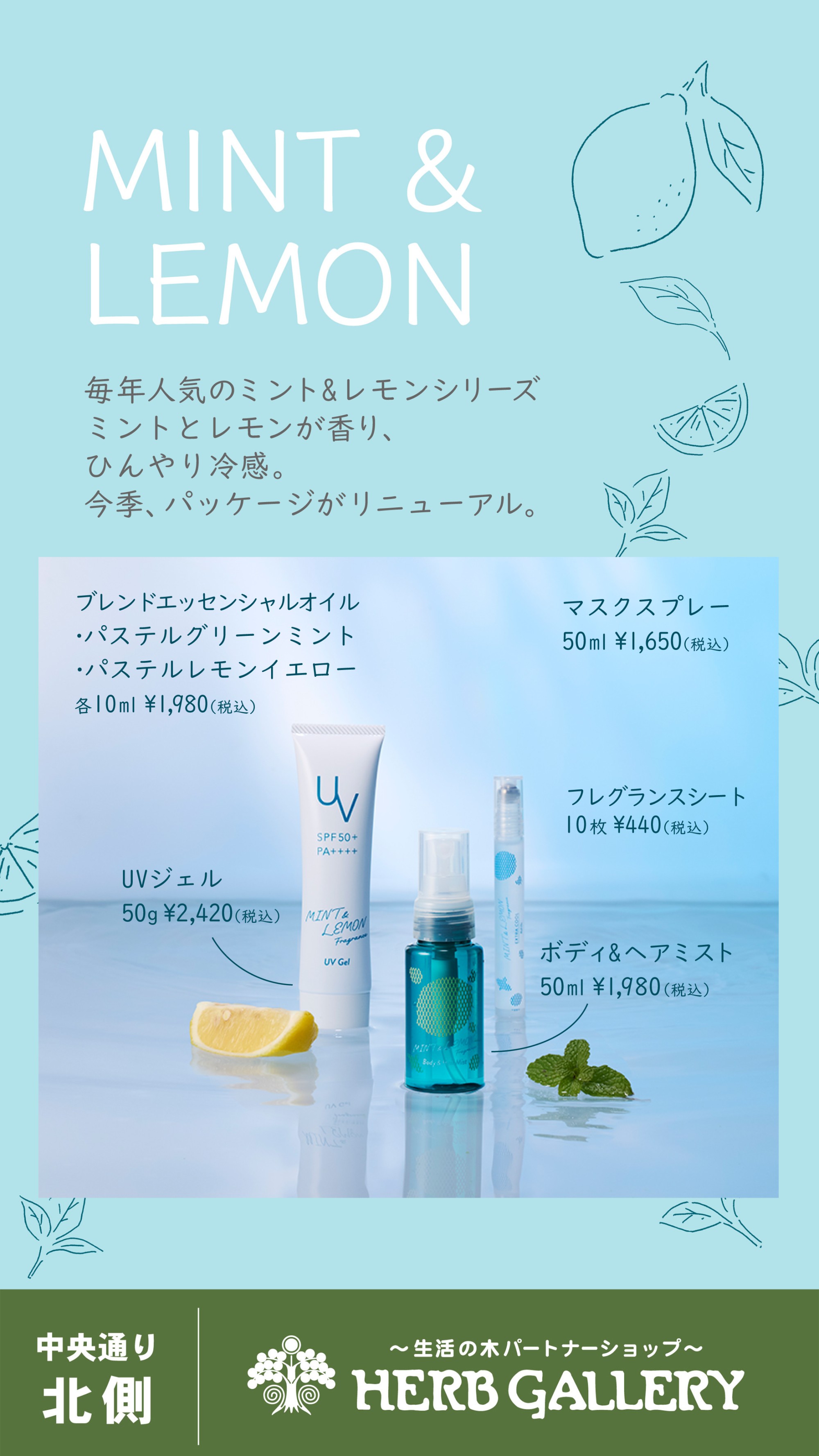 生活の木 夏限定🍋 ミント&レモンシリーズのご紹介