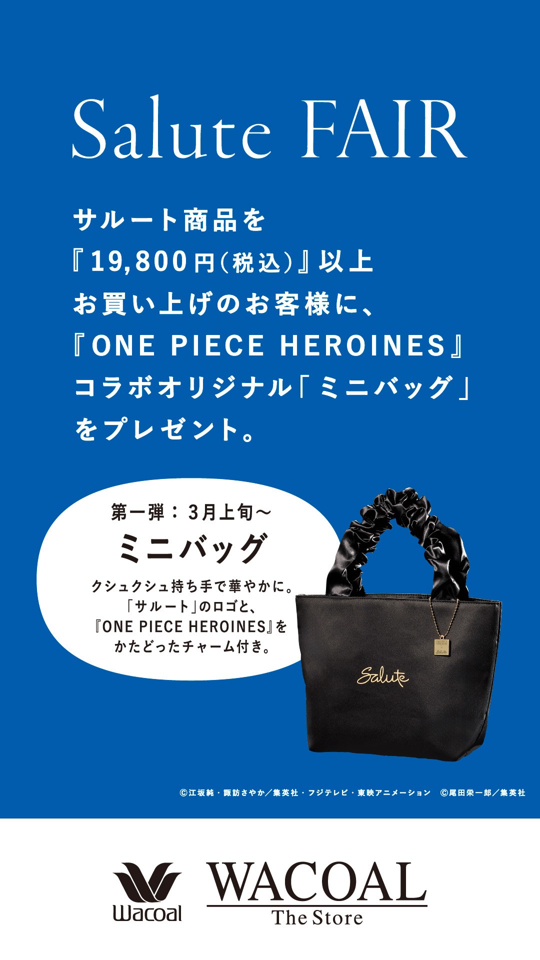 【サルート】数量限定🎁✨