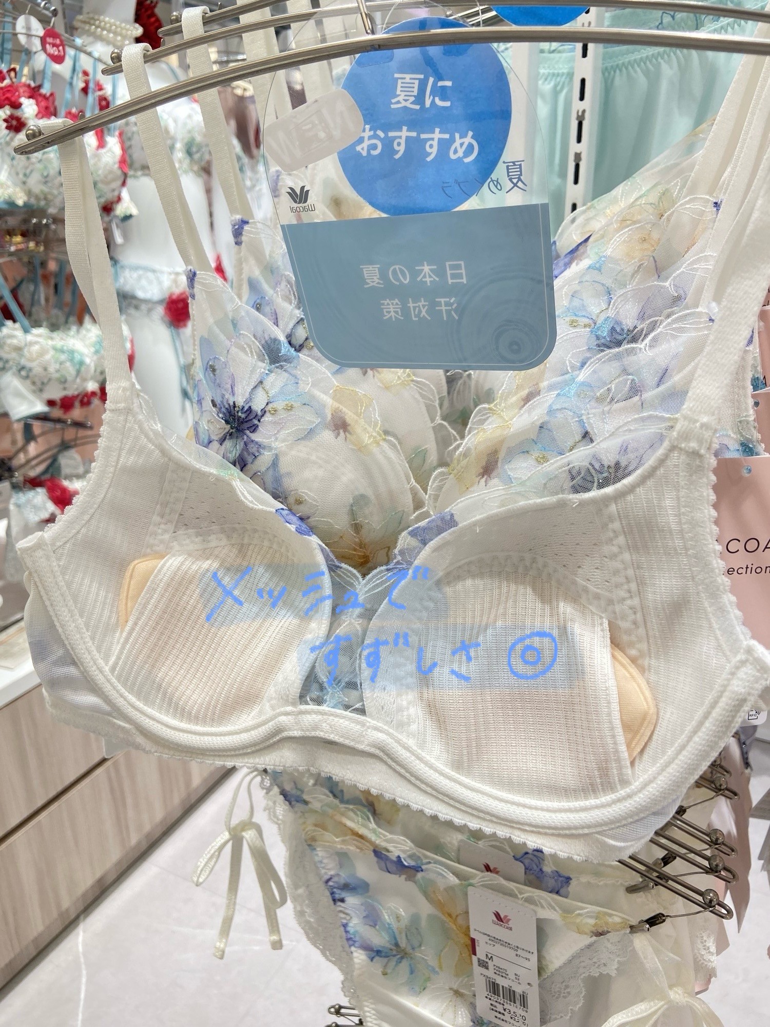 夏ブラ⁉︎🏝️💙