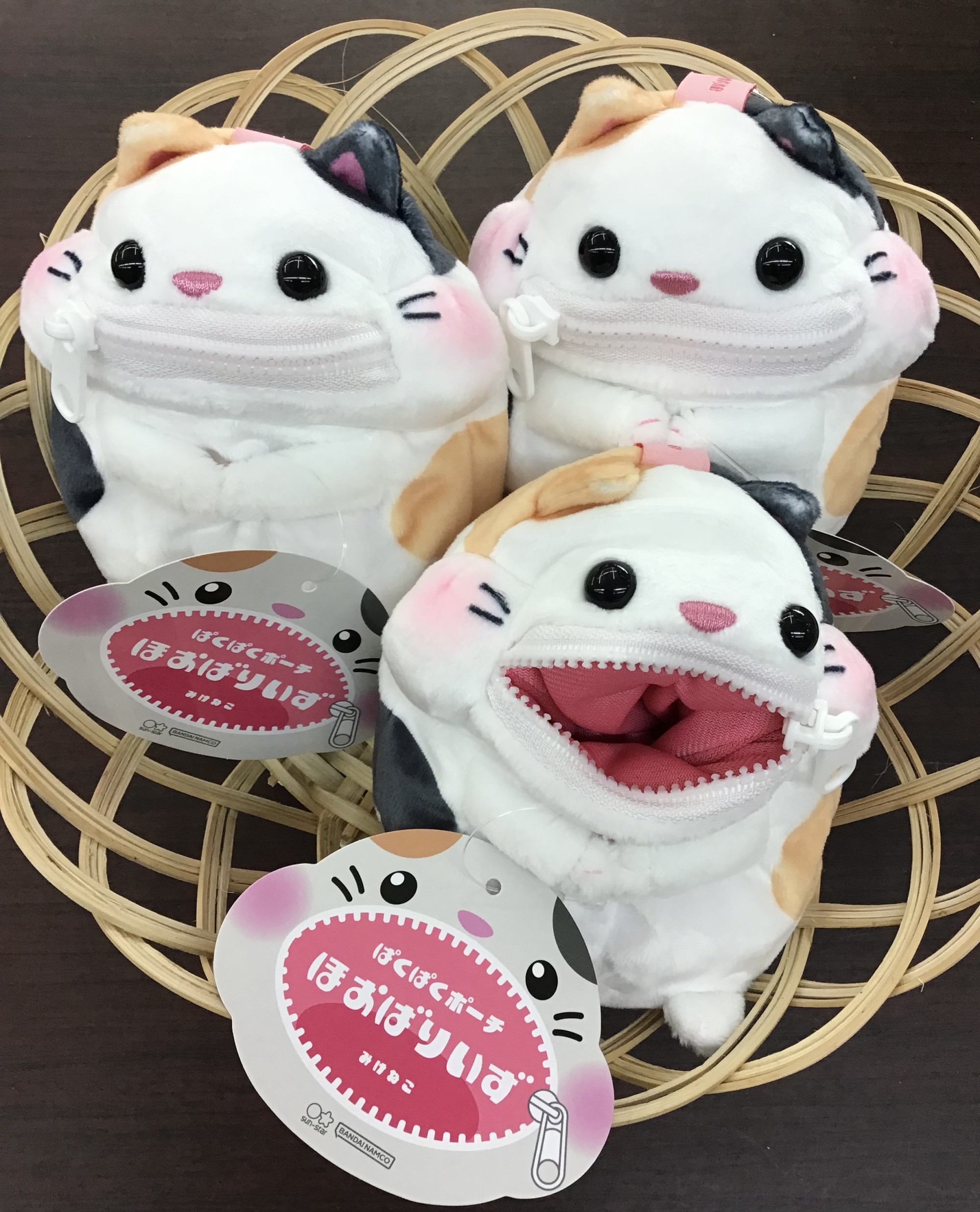 🐈新商品紹介🐱