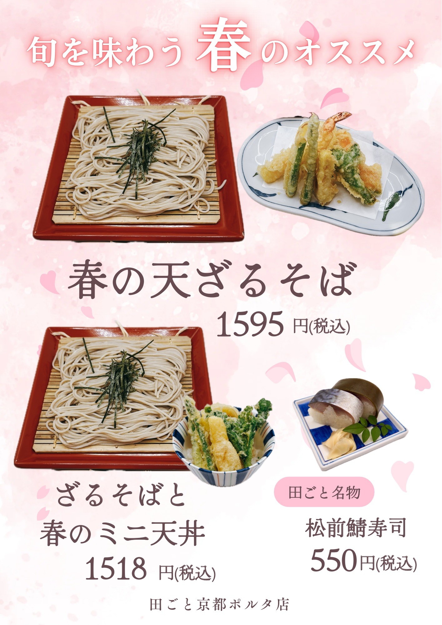 春のオススメ🌸