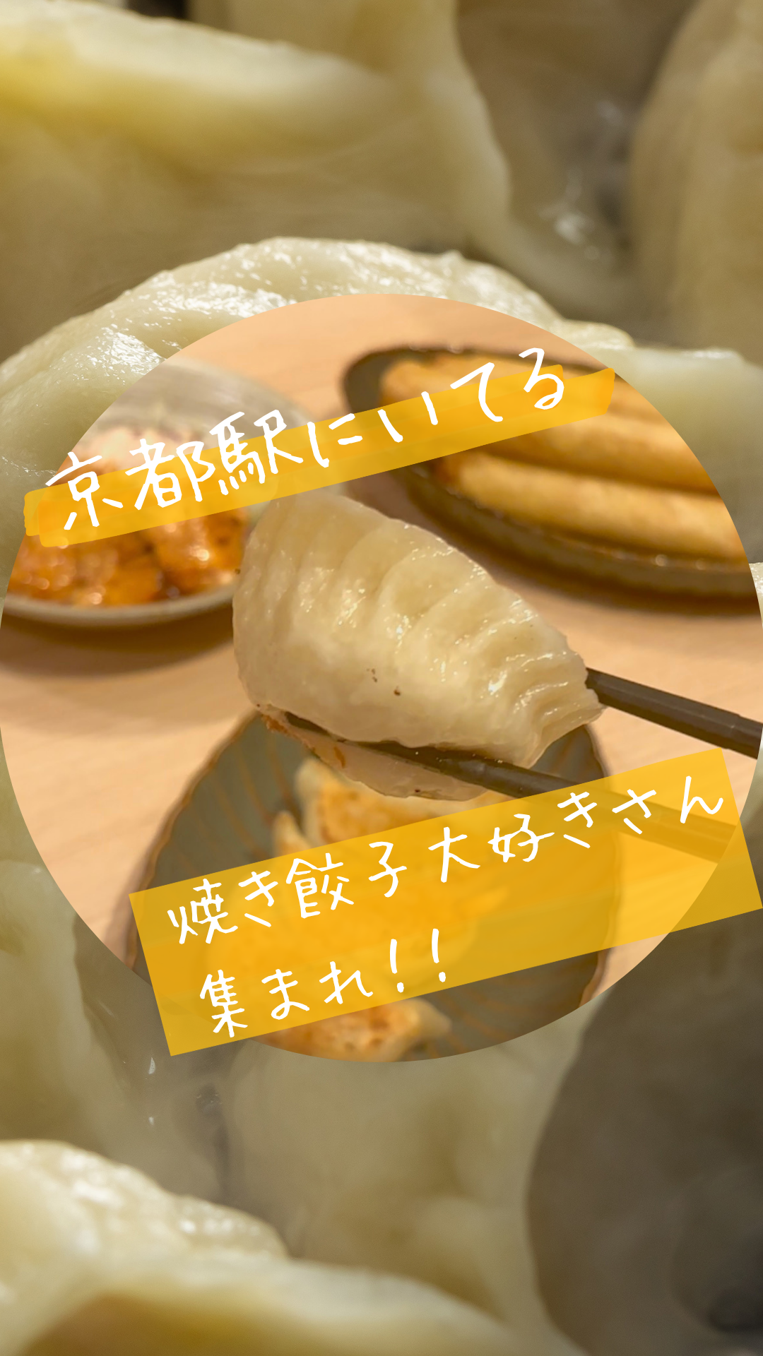 【京都駅 ランチ】点心と一緒に本格中華🥢✨