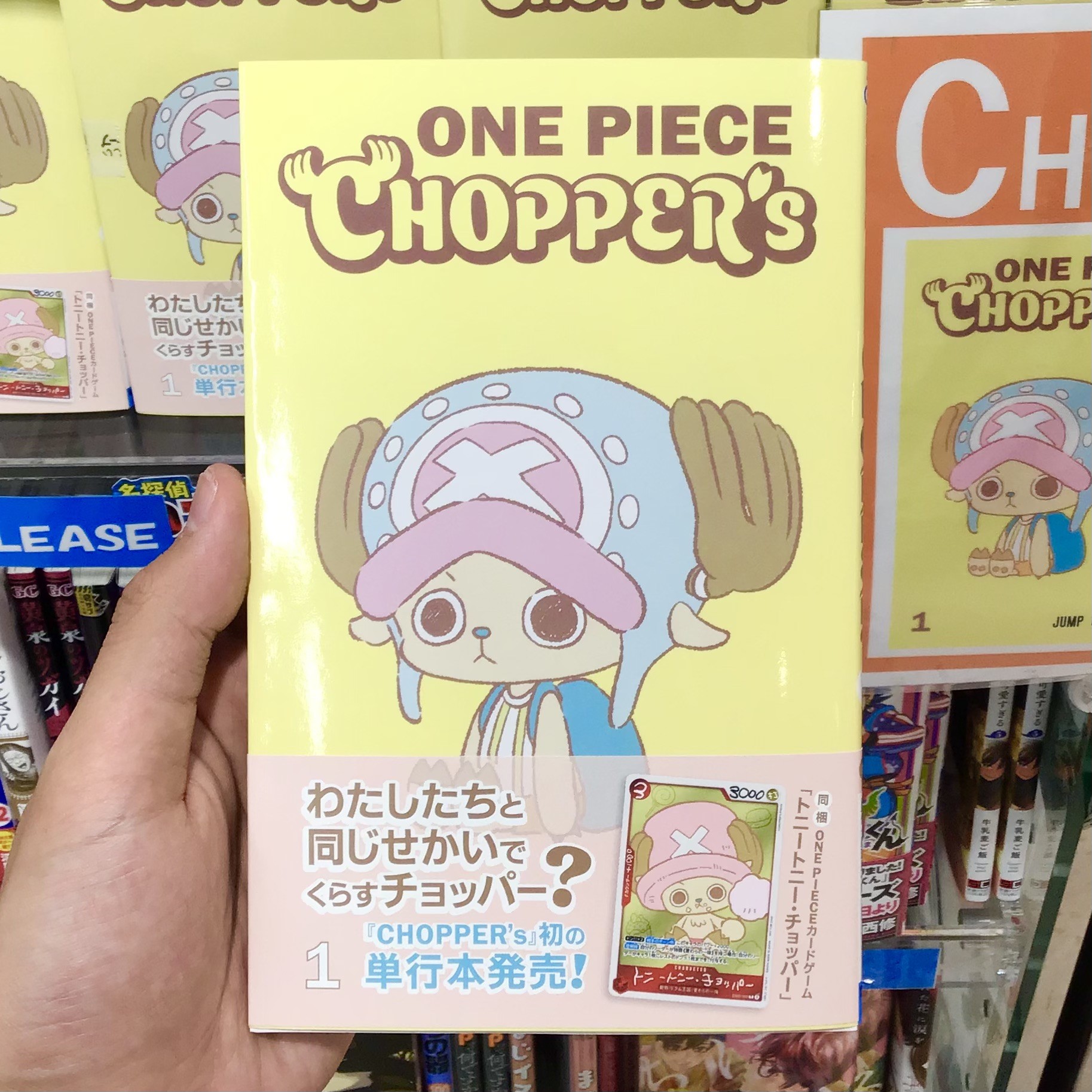 『ONE PIECE CHOPPER’s』入荷いたしました！✨