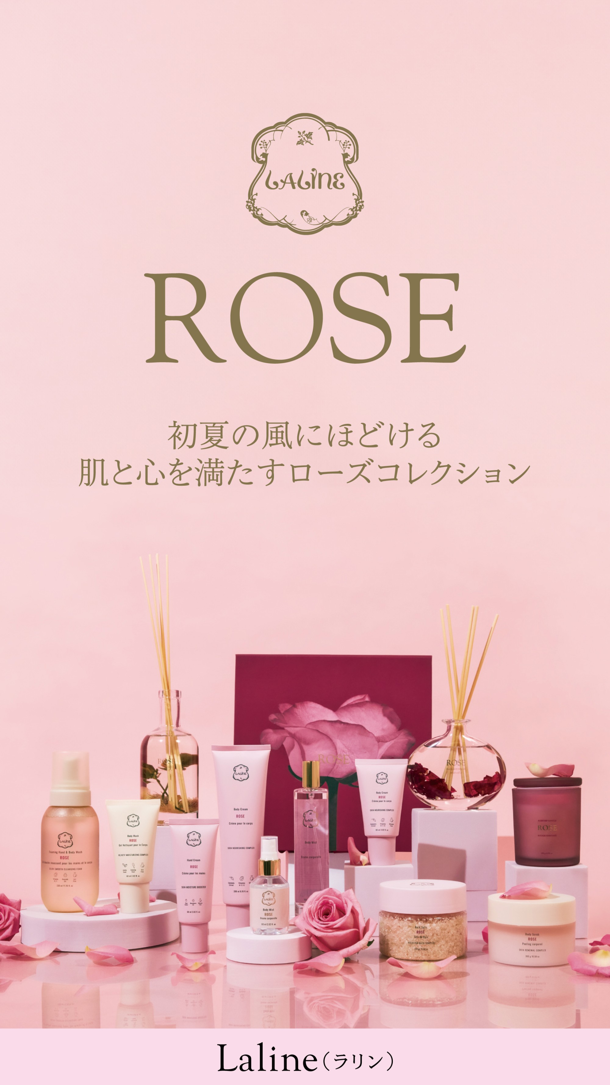 ROSE 発売