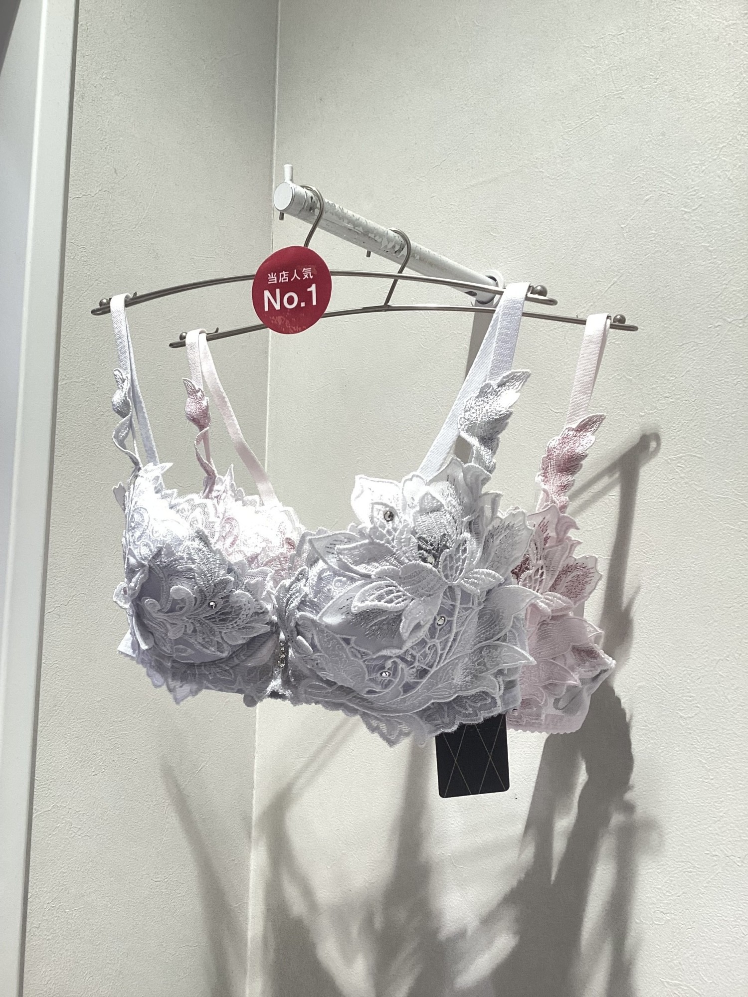 《新作》サルート🪽