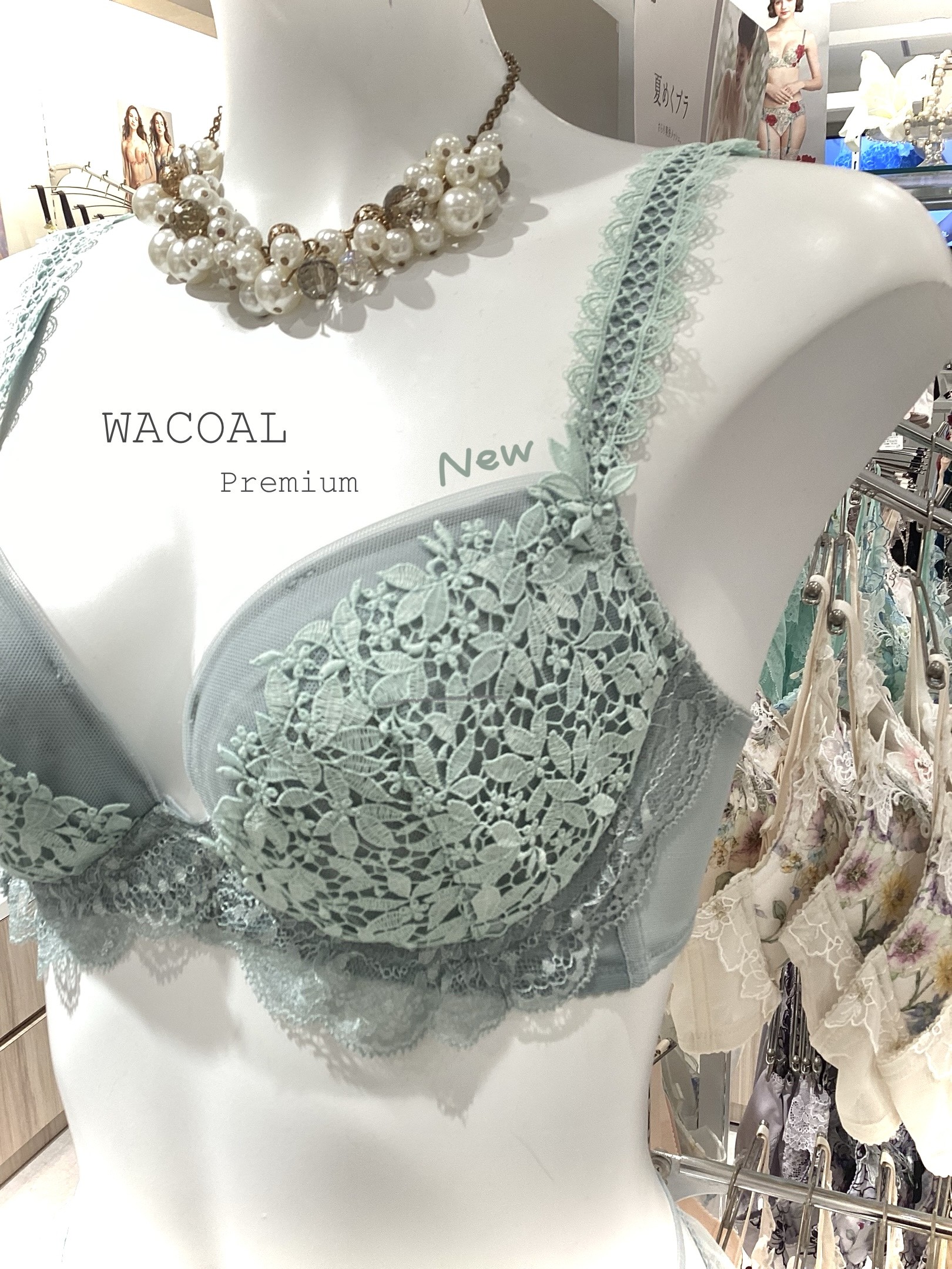 WACOAL Premium💚