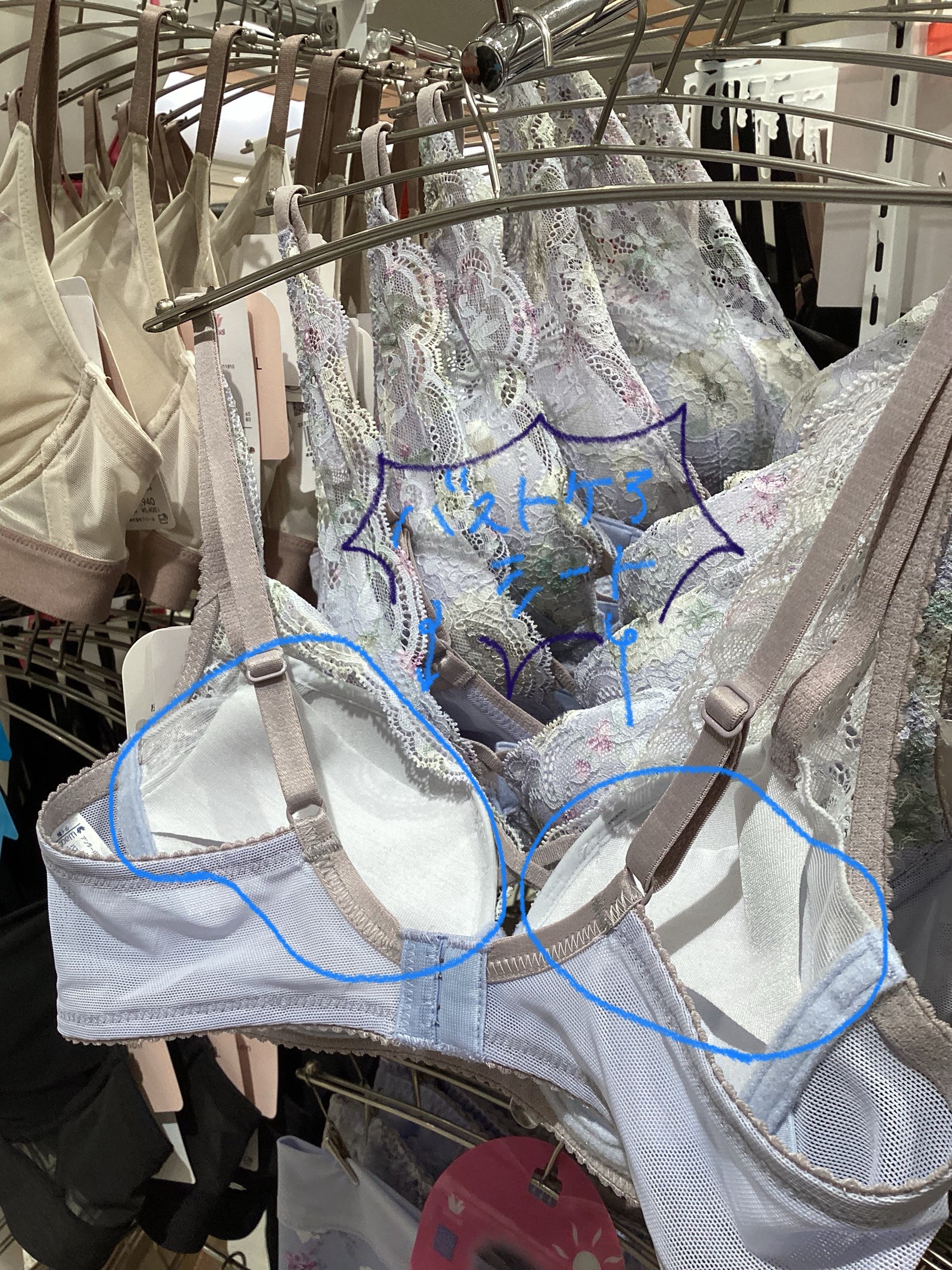 《人気》人気の秘訣とは？