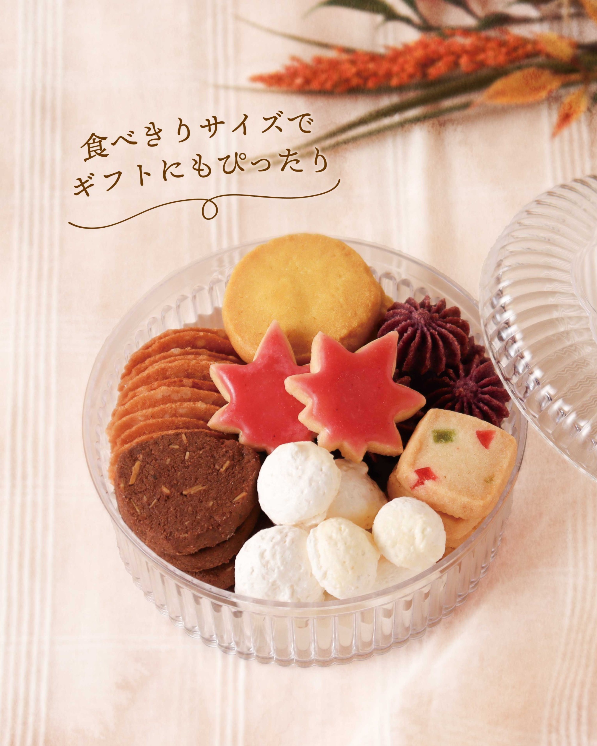【期間限定】ピチニエ