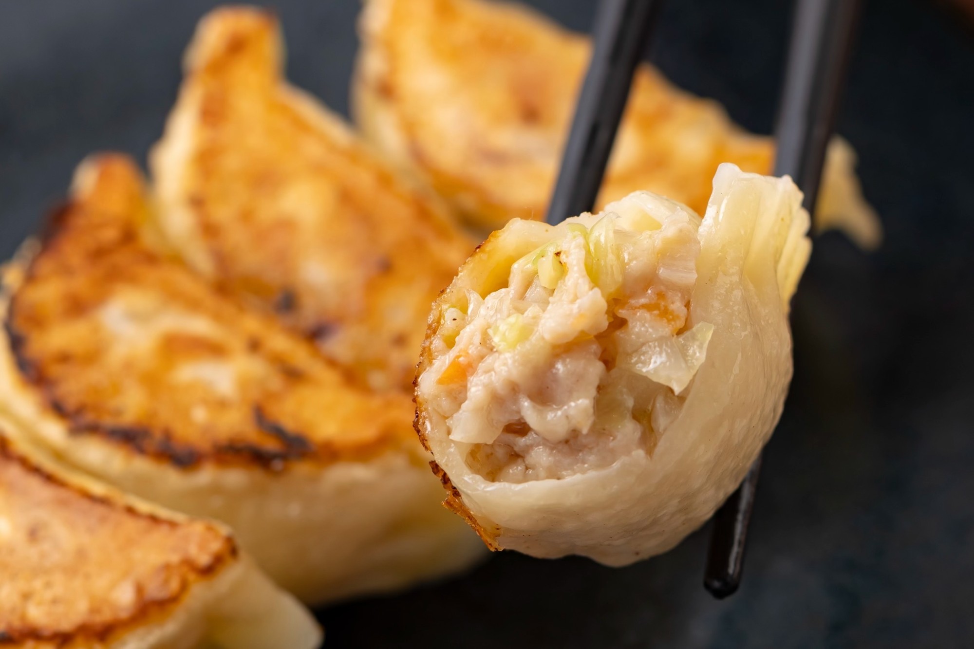 【京都駅 餃子】手包み　茶美豚100%の糀・魔法の焼き餃子