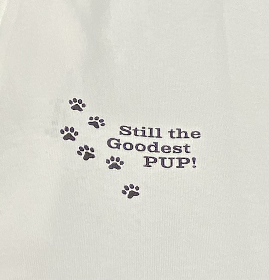 シャウトアニマルTシャツ🐶🐾