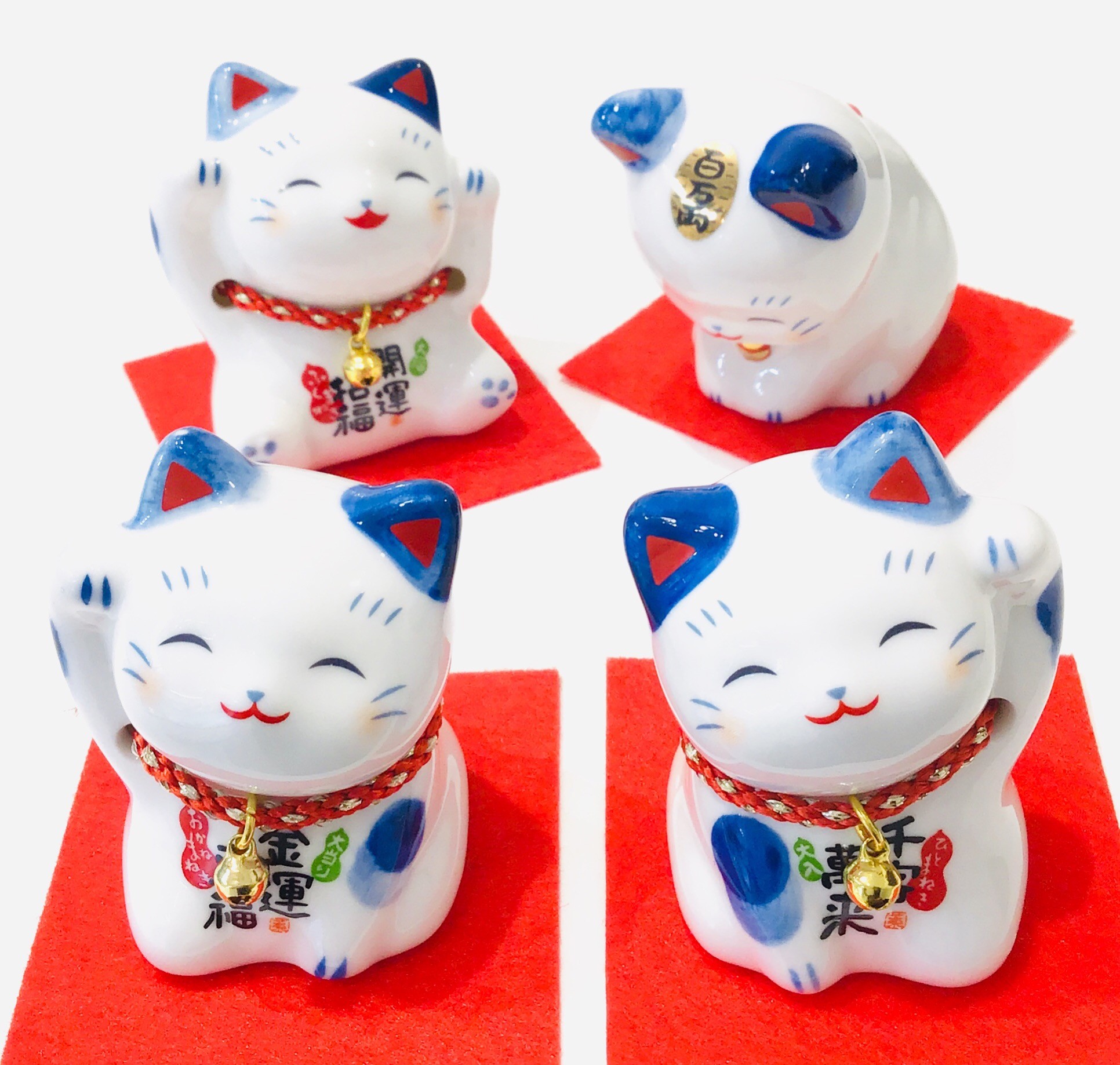 🍀染錦まねき猫 🐈
