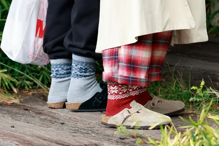 プレゼントにピッタリなルームソックス