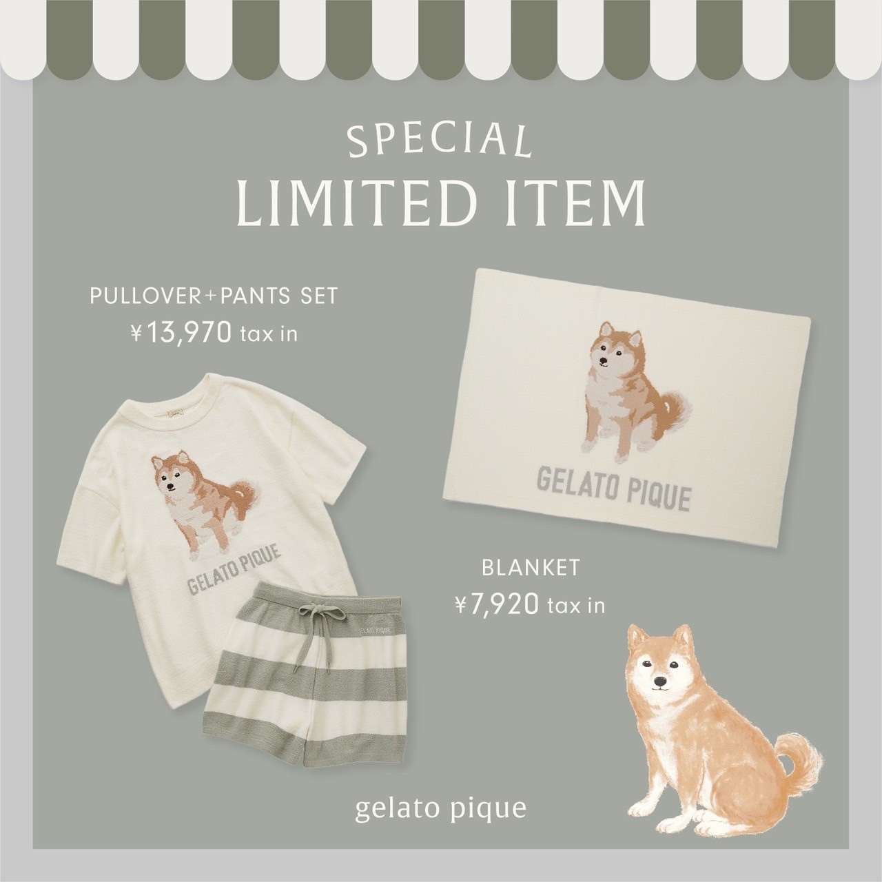 3/19(水) gelato pique 京都ポルタ店 RENEWAL OPEN！