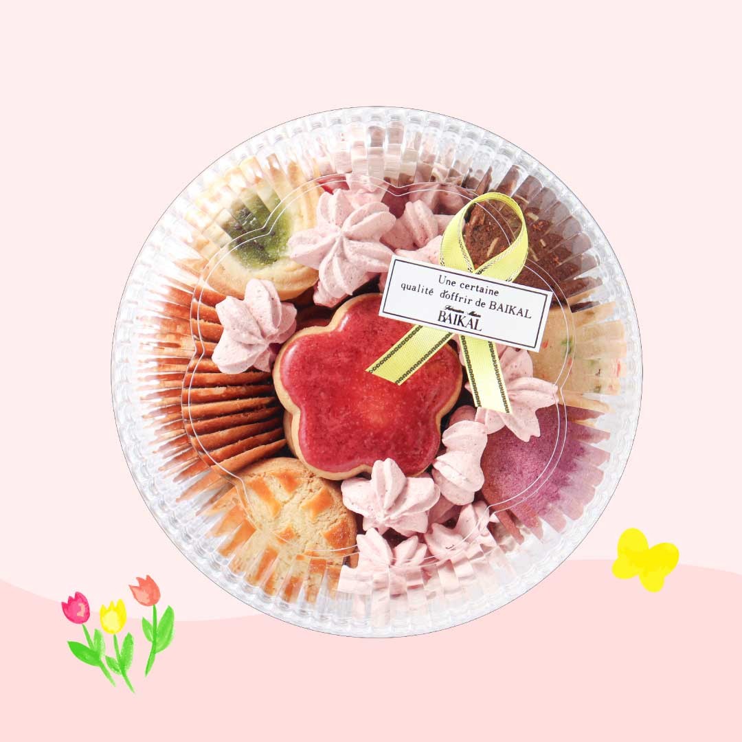 【期間限定】ピチニエ