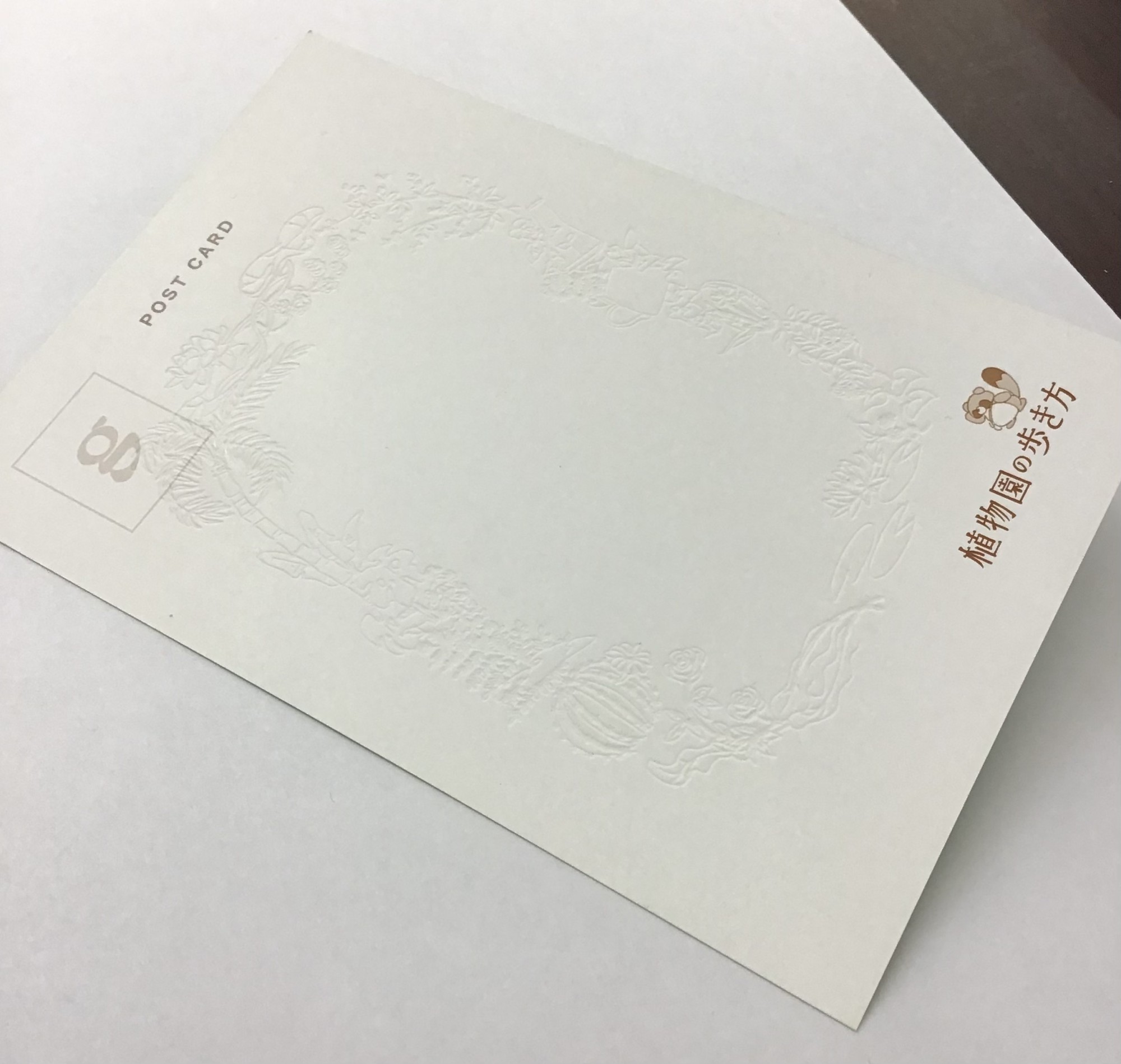 🕊️2/6カシワイさんサイン会参加者特典📮