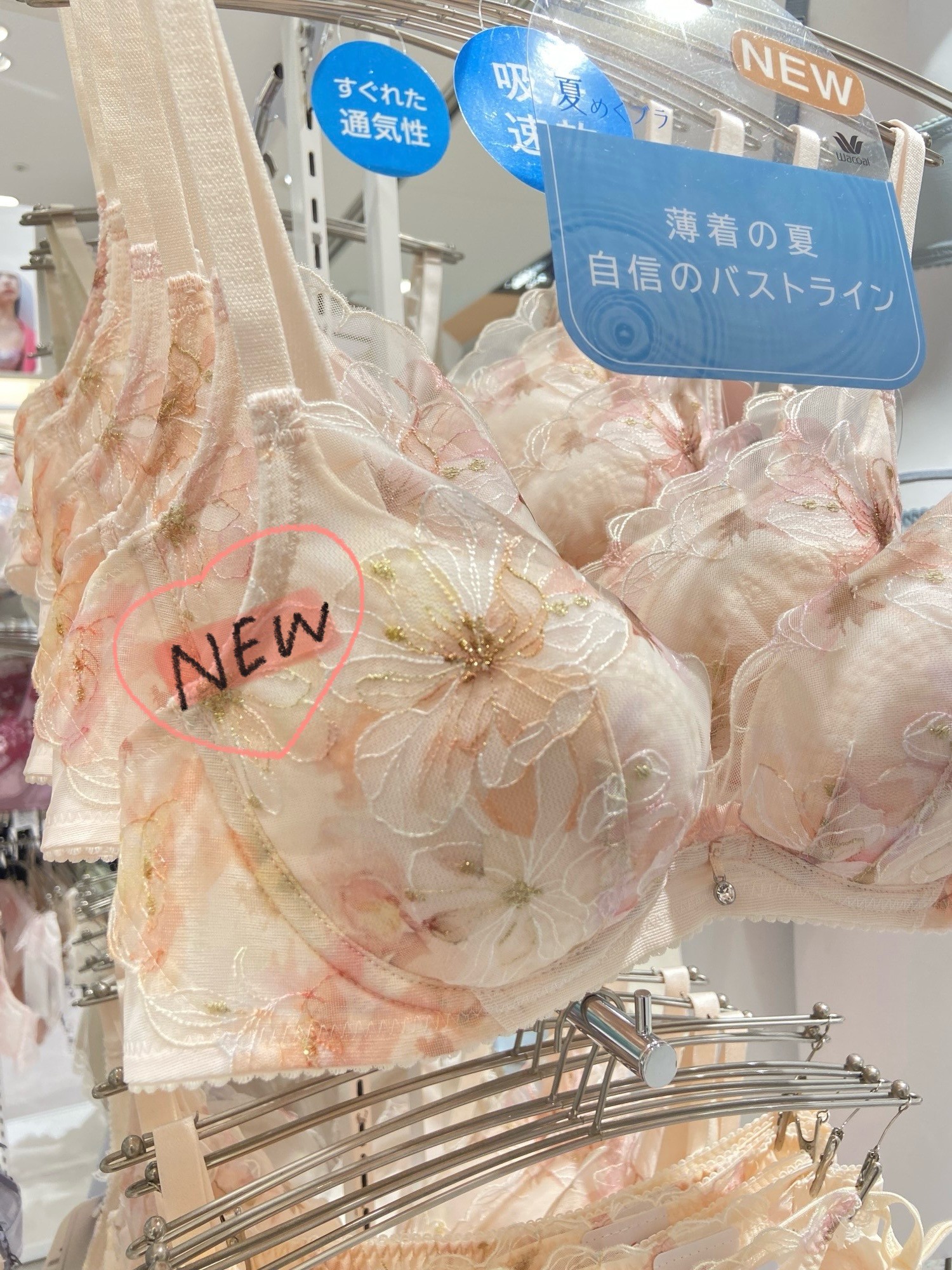 《人気》夏めくブラ🩷