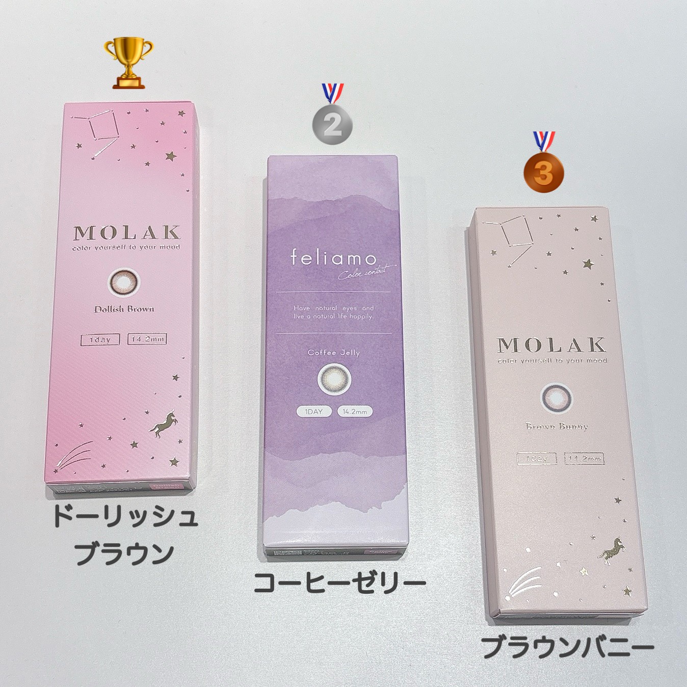 8月☀️ワンデー人気ランキング🏆✨