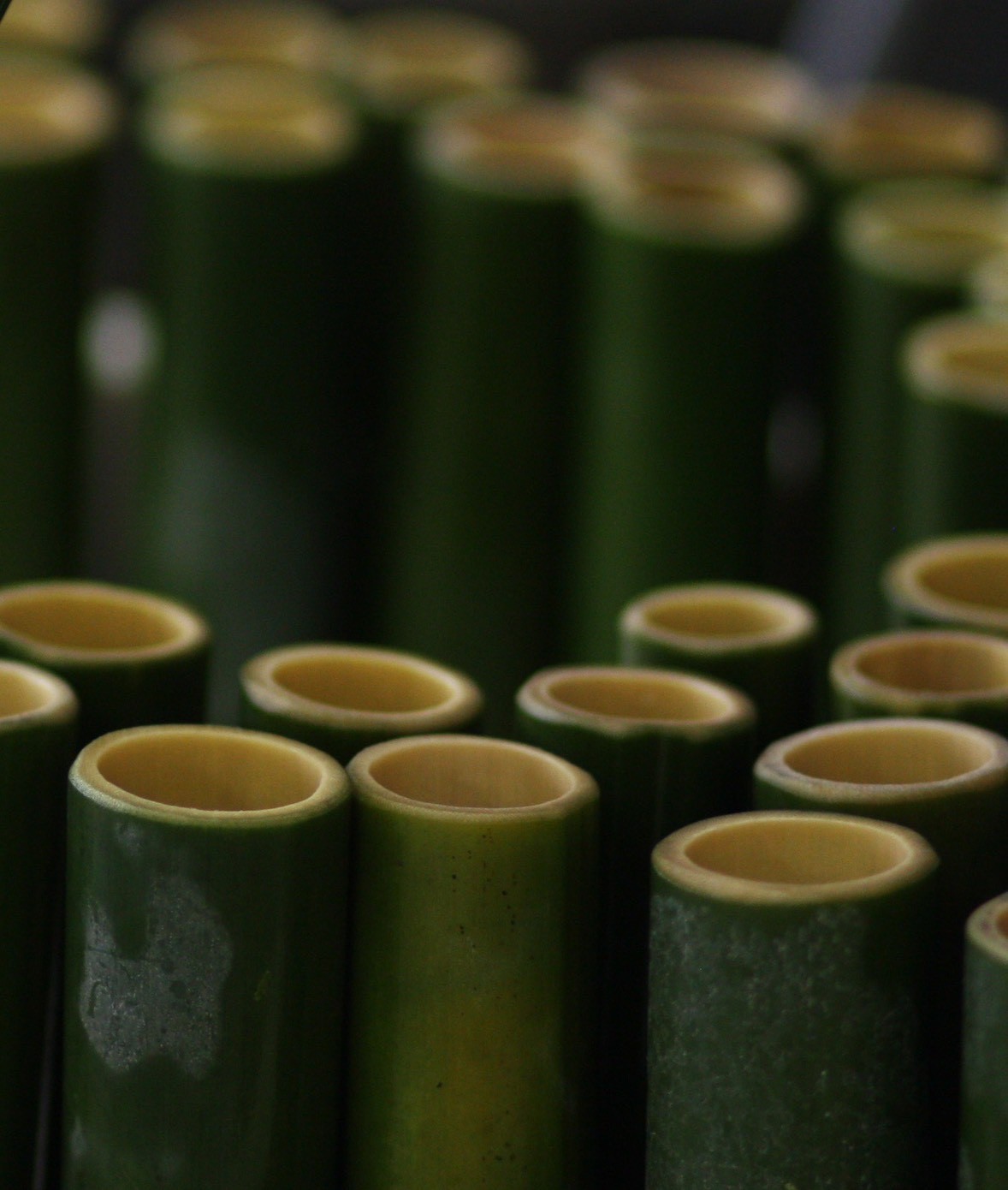 製造風景⭐︎天然竹