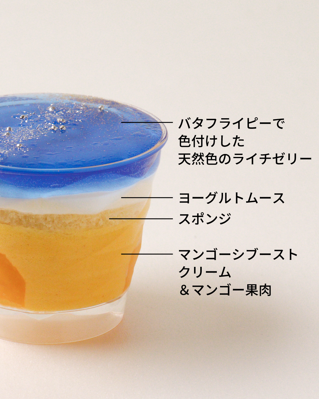 【7日間限定】ステラリウム