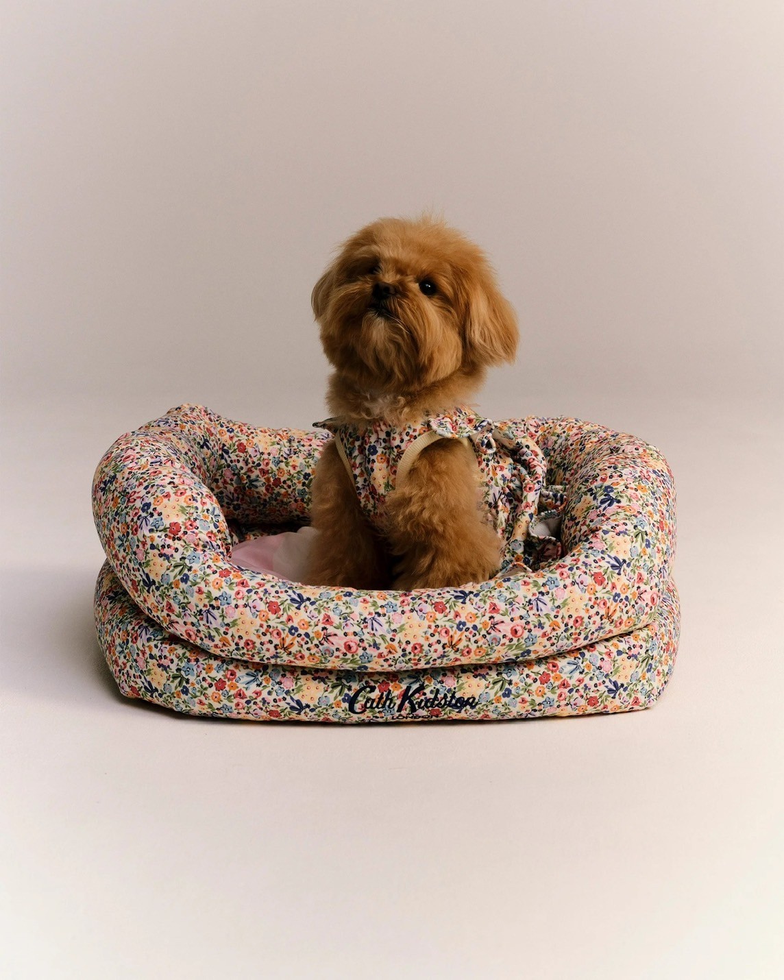 インテリアに映えるプレイフルなペット用ベッド🐶🎀