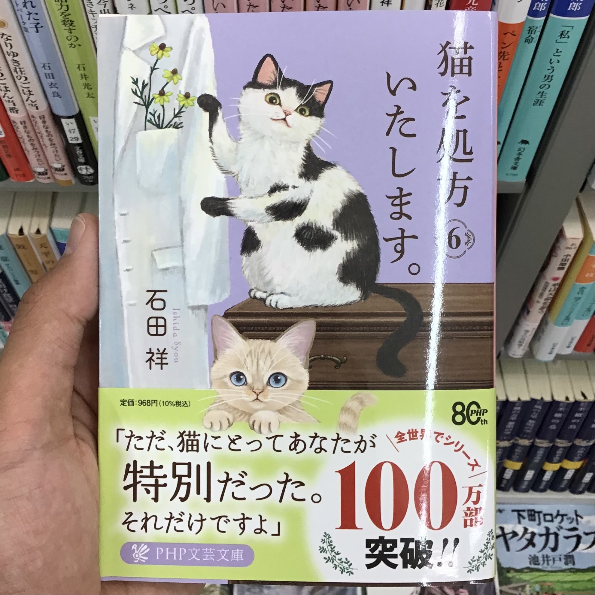 石田祥さんの『猫を処方いたします。６』店頭にて絶賛発売中です🐈🌱