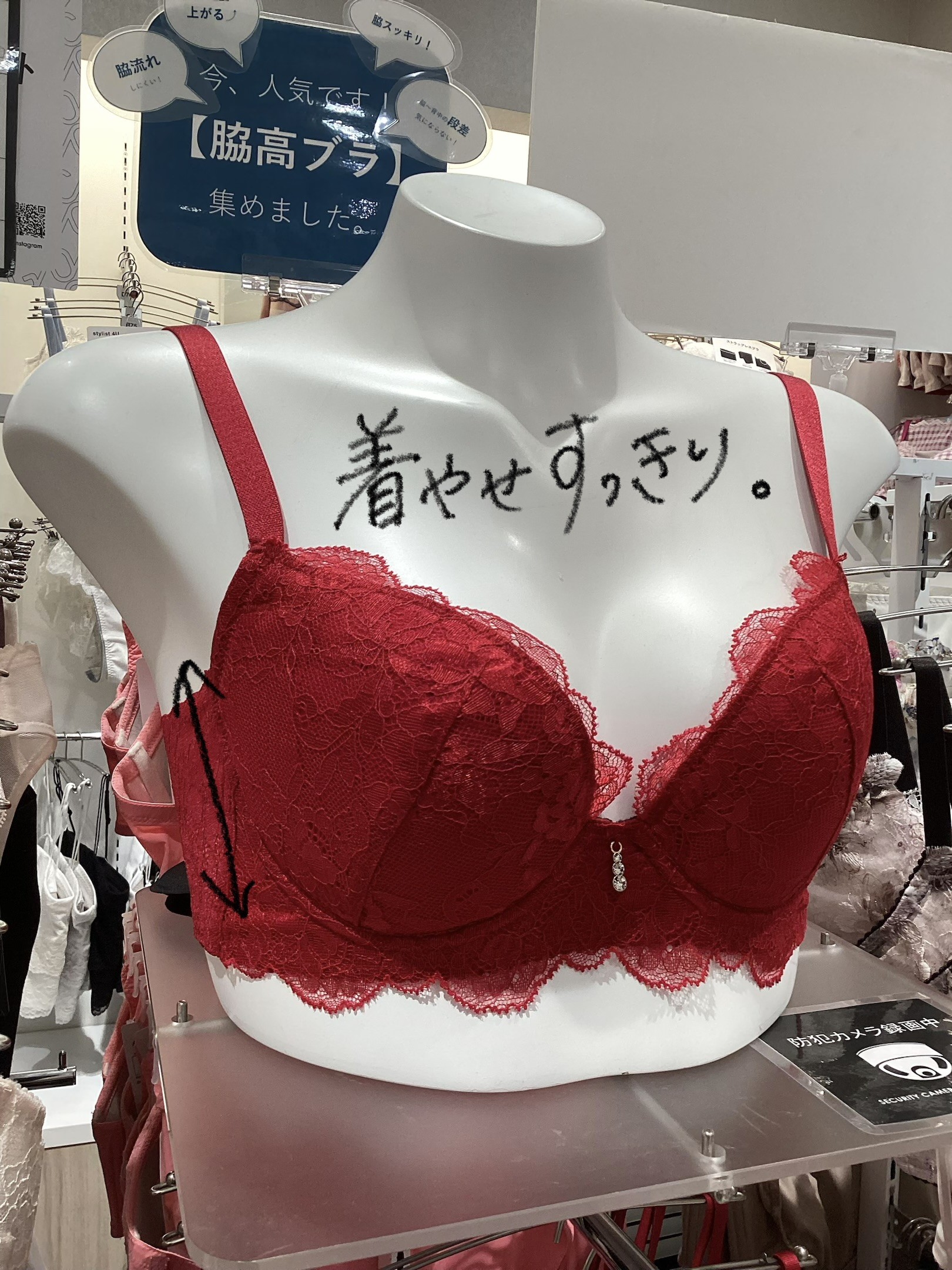 【WACOAL】脇高設計✨